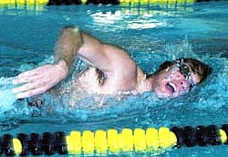 Lead photo