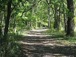 Rescued trail teaches of trees