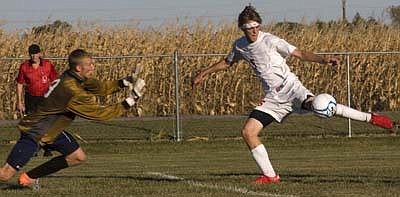 Sectional shutout
