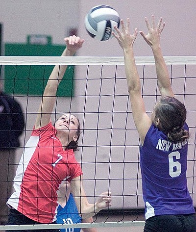 JC fights off 'Dogs
