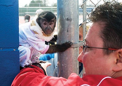 Monkey business