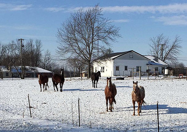 Winter warm-up