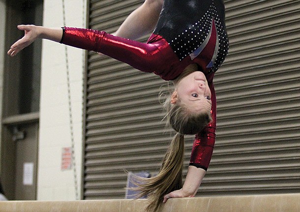 Gymnasts earn pair of victories