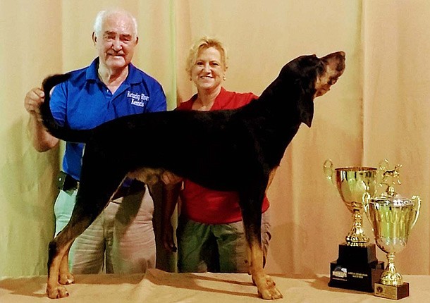 Bryant dog wins title