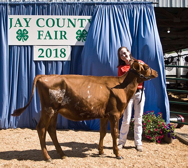 Mercer showed supreme dairy champion