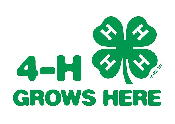 4-H offering STEM program