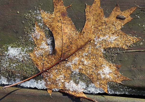 Photo detail