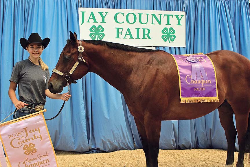 Hollowell shows top halter