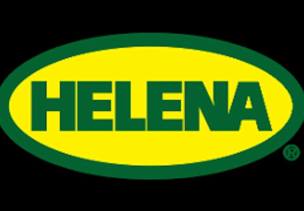 Helena offers scholarship