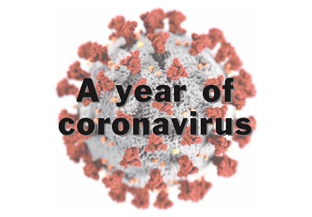 A year of coronavirus