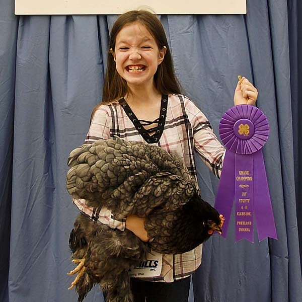 Skirvin leads at poultry show