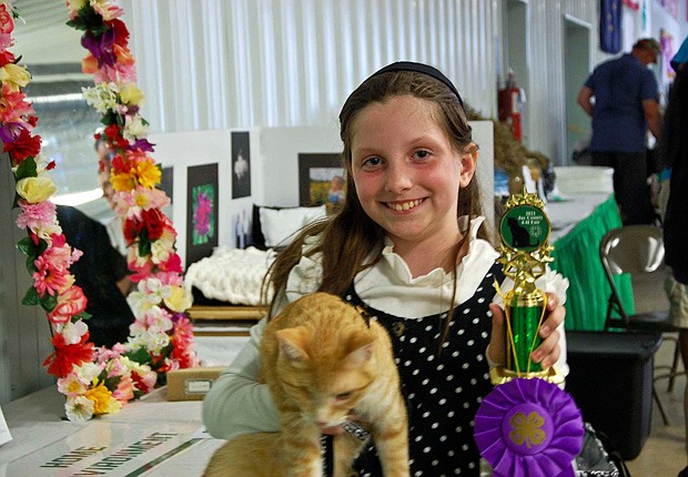 Calvary had winner at cat show