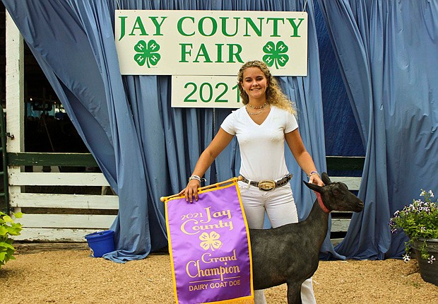 Familiar names top dairy goat show