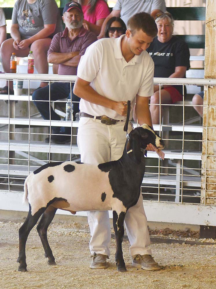 Bretton Basford finishes showing Justin the goat after his escape Tuesday during the Jay County 4-H Meat Goat Show in the Show Arena at Jay County Fairgrounds. (The Commercial Review/Andrew Balko)