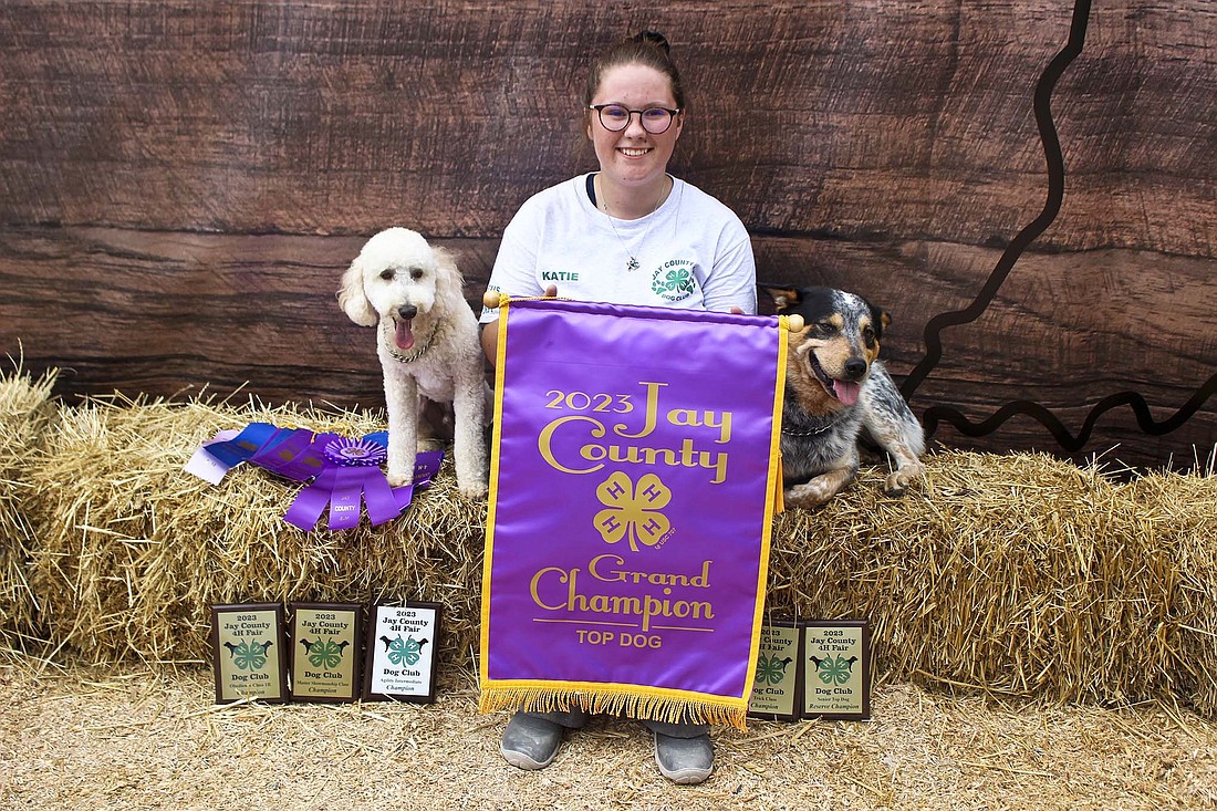 Katie Haffner showed the top dog July 8 during the 4-H dog show at the Jay County Fair. Over her 10-year 4-H career, Haffner earned the top dog banner five times with three different dogs. (The Commercial Review/Bailey Cline)