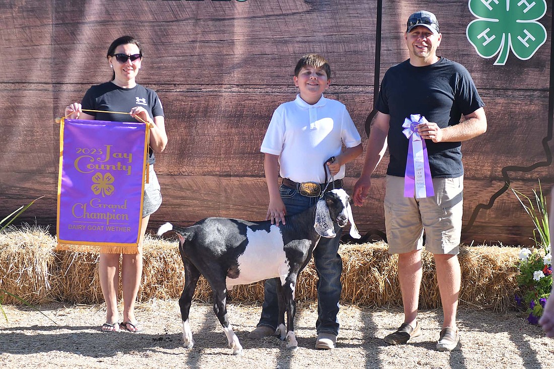 During the Jay County 4-H dairy goat show July 11, Easton Siegrist  had the grand champion dairy wether. (The Commercial Review/Andrew Balko)