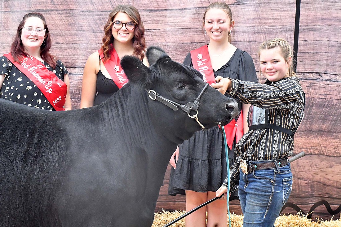 During the Jay County 4-H beef show on July 9, Kadilynn Stout showed the grand champion beef female.