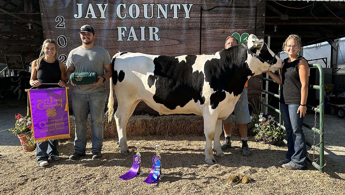 Melana Zimmerman showed the grand champion dairy beef steer on July 10 during the show at the Jay County Fair.