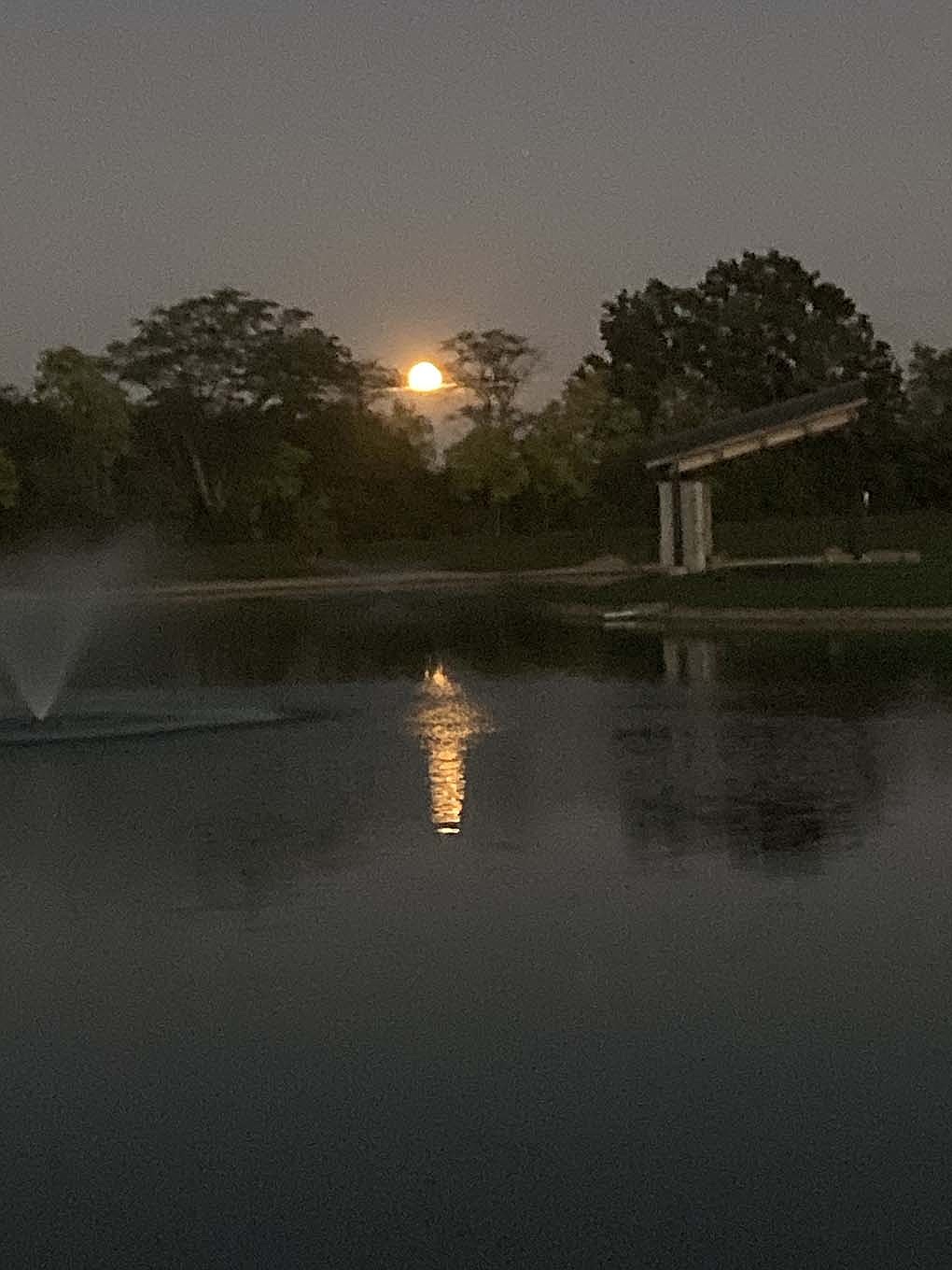 The super moon rises over and between the trees on the east side of Hudson Family Park on Wednesday night. Lows have been in the low 50s the last couple days, but highs are headed into the 90s beginning Sunday. (The Commercial Review/Connie Ronald)