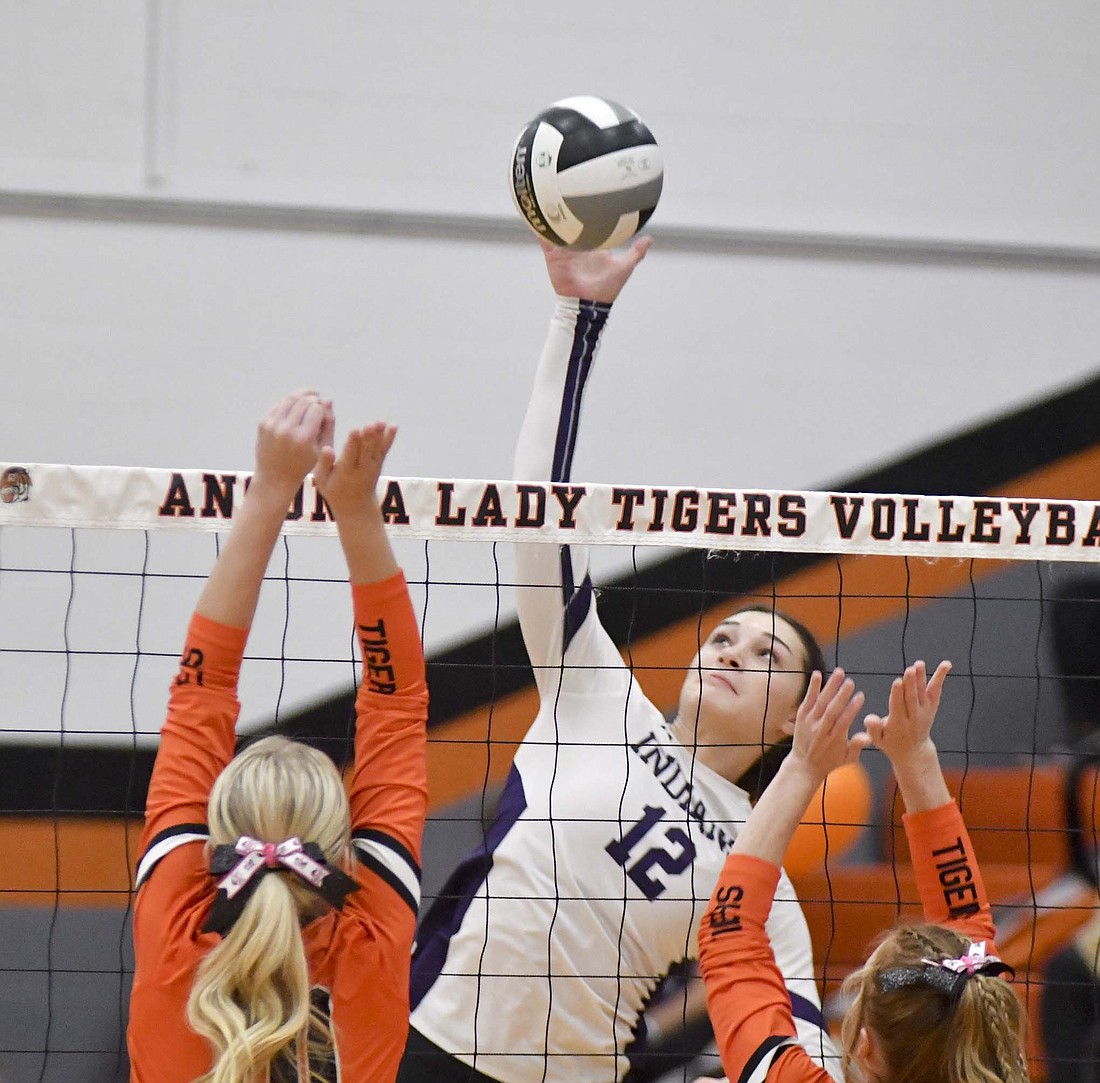 FRHS senior Paige Guggenbiller rises up for an attack on Monday during the Indians' three-set victory over Ansonia. She had five kills in the game, and improved on that number Tuesday as she had eight against New Knoxville. (The Commercial Review/Andrew Balko)