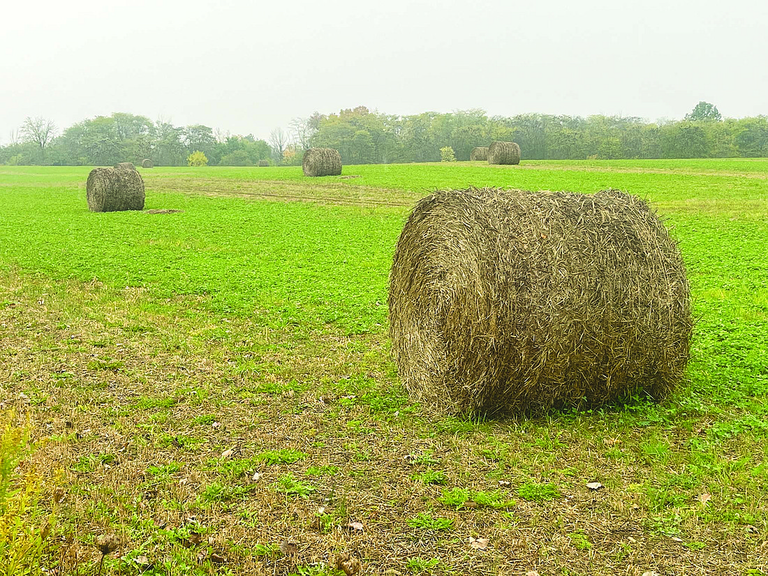 Bales sit in a field on the west side of Boundary Pike between county roads 300 South and 400 South on a dreary Thursday in Jay County. Temperatures were in the 50s with steady light rain. The forecast calls for additional rain through Saturday night. (The Commercial Review/Ray Cooney)