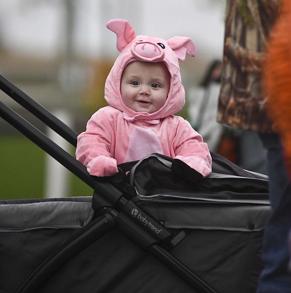 Dressed as a piglet, 11-month-old Oaklee Hamilton of Bluffton rides in a stroller while attending The Nov. 28 Trunk or Treat at Dunkirk City Park. (The Commercial Review/Ray Cooney)