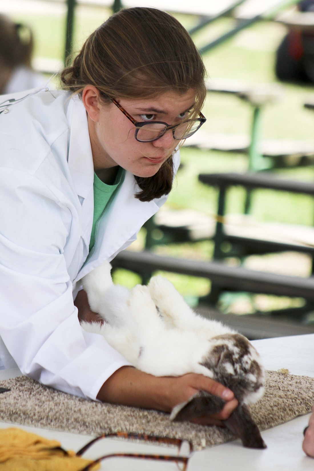 Allison Tipton holds her rabbit during the showmanship portion of the rabbit show Saturday afternoon at the East Arena. (The Commercial Review/Bailey Cline)