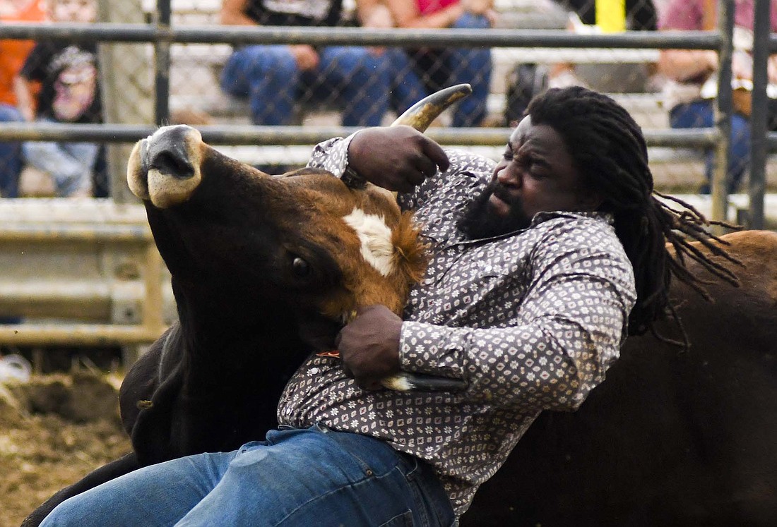 Former Indianapolis Colts and University of Notre Dame running back Robert Hughes wrestles a steer Tuesday evening during the 3 Bar J Rodeo show in front of the grandstand at Jay County Fairgrounds. The rodeo included bronco riding, tie-down roping and team roping, along with the antics of the rodeo clown. Before turning to a career in the rodeo, Hughes played for the Indianapolis Colts in 2012 and 2013 before heading for a stint with the Arizona Cardinals. Primarily a fullback, he had eight professional carries for 11 yards while catching 10 passes for 149 yards. He gained 1,392 rushing yards, caught 43 passes and scored 15 touchdowns during his career with the Fighting Irish. (The Commercial Review/Ray Cooney)