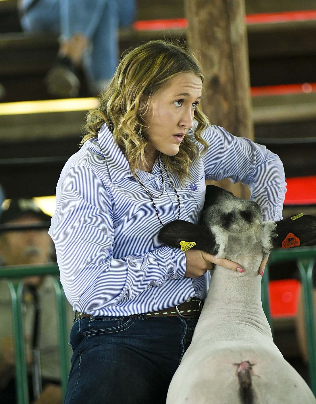 Jay County High School senior Mallory Winner shows her sheep Sunday in the Show Arena at the Randolph County 4-H Fair. (The Commercial Review/Ray Cooney)