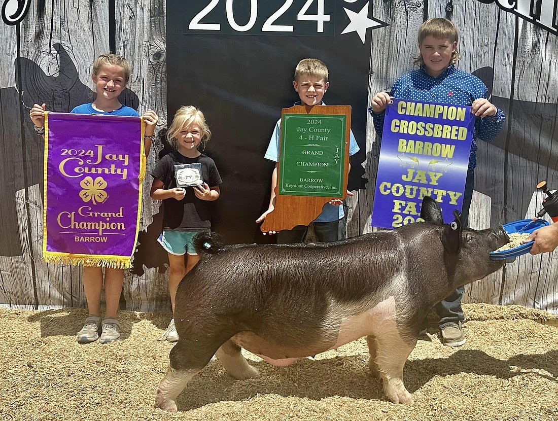 Jax McClain showed the grand champion barrow during the Jay County 4-H swine show on July 8.