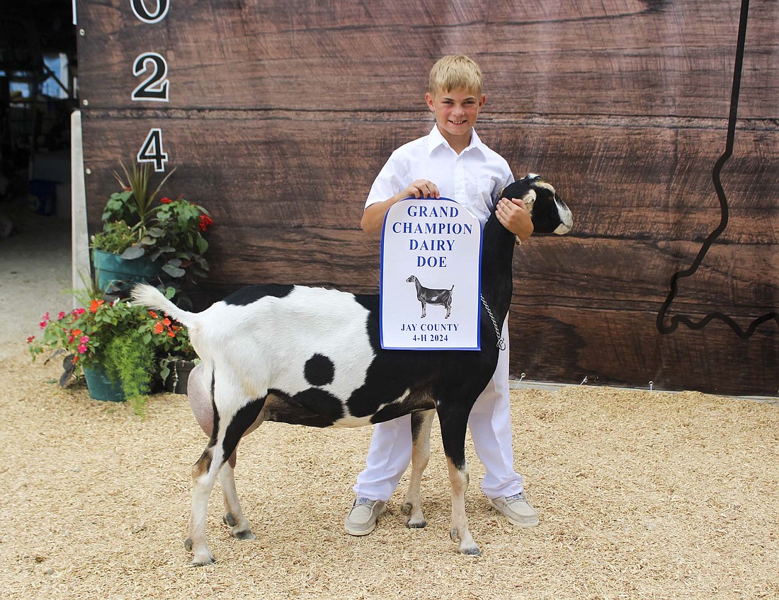 Benton Langenkamp showed the grand champion dairy doe on July 9 at the Jay County 4-H dairy goat show. (The Commercial Review/Bailey Cline)