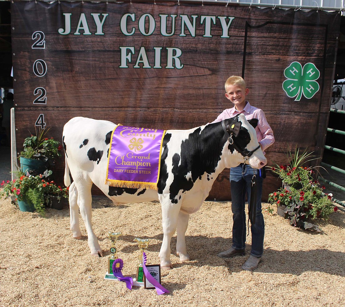 Carter May showed the grand champion dairy beef feeder during the Jay County 4-H dairy beef show on July 8 at the Jay County Fair.