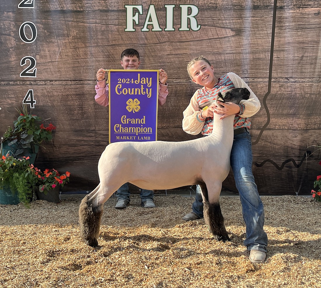 Kylinn Myers showed the grand champion Market Lamb on July 10 during the Jay County 4-H sheep show at the Jay County Fair. (The Commercial Review/Ray Cooney)