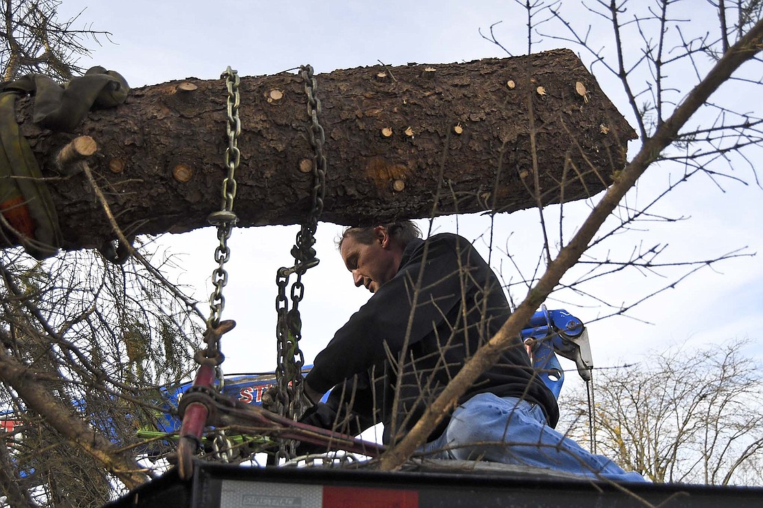 Jeff Upp (top) works to secure a blue spruce tree to a flatbed truck to be hauled from its Western Avenue home to Jay County Fairgrounds. (The Commercial Review/Ray Cooney)