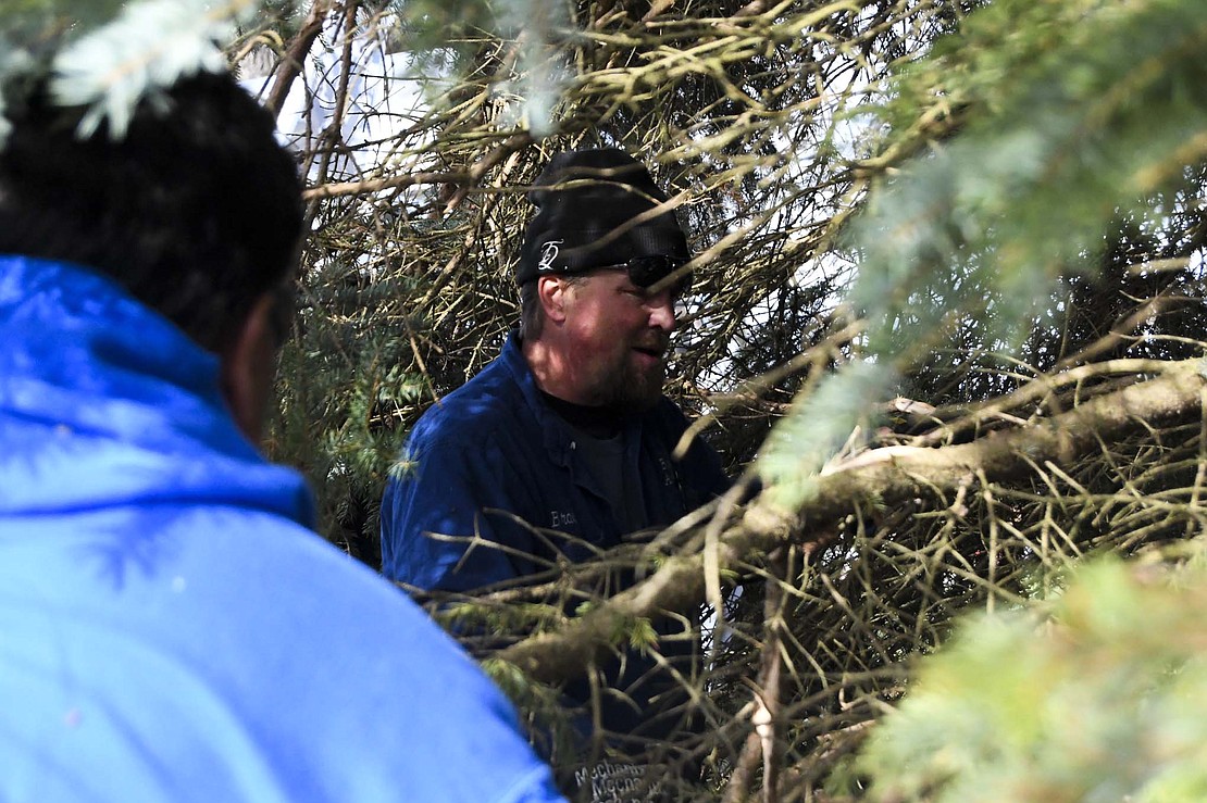 Brad Barnett of Barnett’s Wrecker Service is surrounded by branches as he calls out instructions to his daughters, who operated the boom lift used to move the tree into place. “I’ve taken a lot of trees down,” said Barnett. “I’ve never reset them before.” He said avoiding utility lines on the drive through the city was the biggest challenge. “I’d do it again tomorrow,” he said. “I enjoy something different.” (The Commercial Review/Ray Cooney)