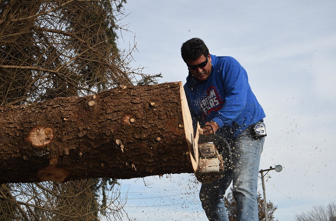 Miles of Miles Mowing & Lawn Care uses a chainsaw to even out the bottom of a Fat Albert Blue Spruce Tree before it was lifted off of a trailer to be put into place at Jay County Fairgrounds. He had pitched the idea to make the trees part of the holiday lighting display at the fairgrounds.  “It’s just a beautiful tree and I hate to destroy it,” he said. “With their lights going on, and that’s a way for them to make money, I just thought that was the best opportunity that they could do something — the wow factor. Hopefully it brings a lot of people out to enjoy this tree.” (The Commercial Review/Ray Cooney)