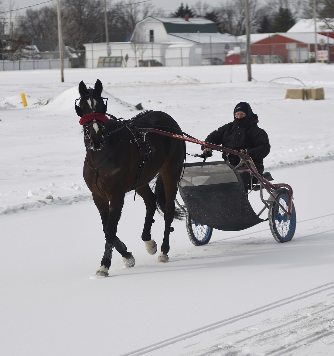 A driver works out her horse Thursday morning along the snowy track in front of the grandstand at Jay County Fairgrounds. No more snow is in the forecast, but lows will be in the teens tonight and Saturday night. (The Commercial Review/Ray Cooney)