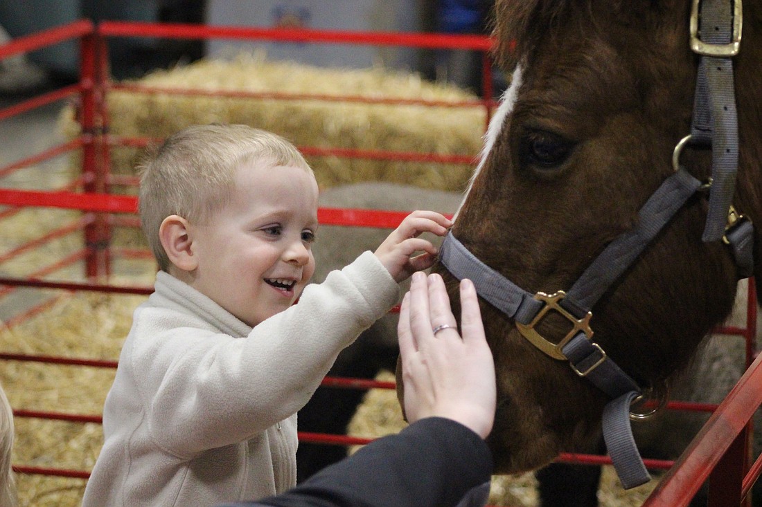 Murphy Siegrist, 2, pets a pony during Fort Recovery FFA’s petting zoo Friday afternoon. Fort Recovery Elementary students and local children visited Fort Recovery High School for the event, which had been postponed to Friday because of weather. (The Commercial Review/Bailey Cline)