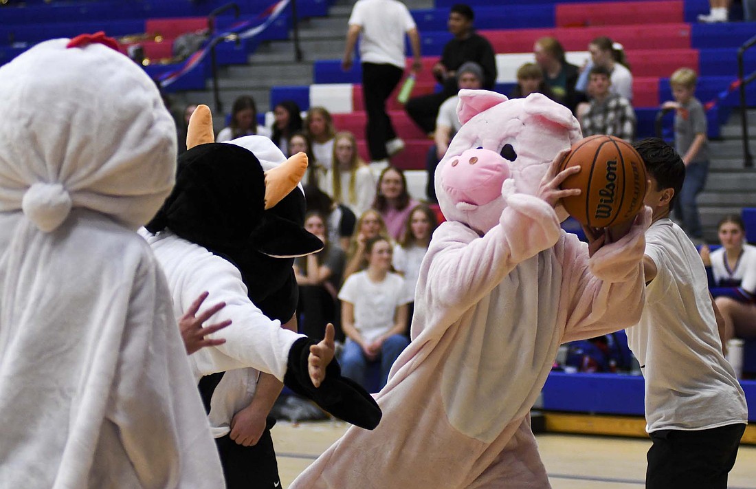 The point guard pig (Carter Wellman) looks to pass during FFA basketball at halftime of Friday’s Jay County High School boys basketball game against Norwell. (The Commercial Review/Ray Cooney)