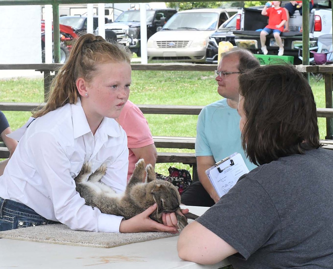 The 4-H livestock shows began Friday at the Jay County Fair following opening ceremonies. Pictured above, Rusti Imel shows her rabbit to the judge during the showmanship portion of the competition at the rabbit show at the East Arena. Below, Alexa Jones congratulates her dog Piper after competing in obedience during the dog show in the Show Arena. (The Commercial Review/Andrew Balko)