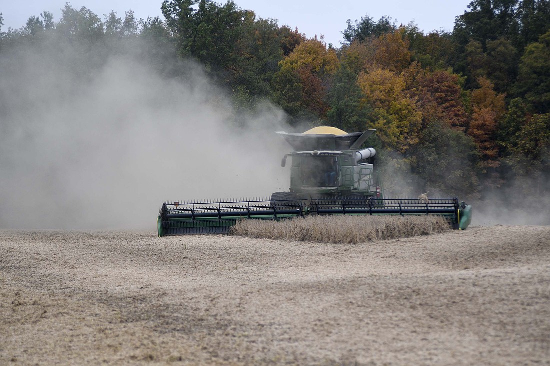 A farmer finishes harvesting a section of a soybean field Wednesday morning on the north side of Division Road between county roads 200 East and 300 East just before light rain began to fall. More rain is in the forecast for this weekend. (The Commercial Review/Ray Cooney)