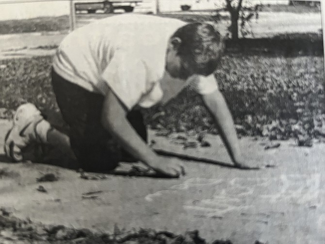 Photo detail