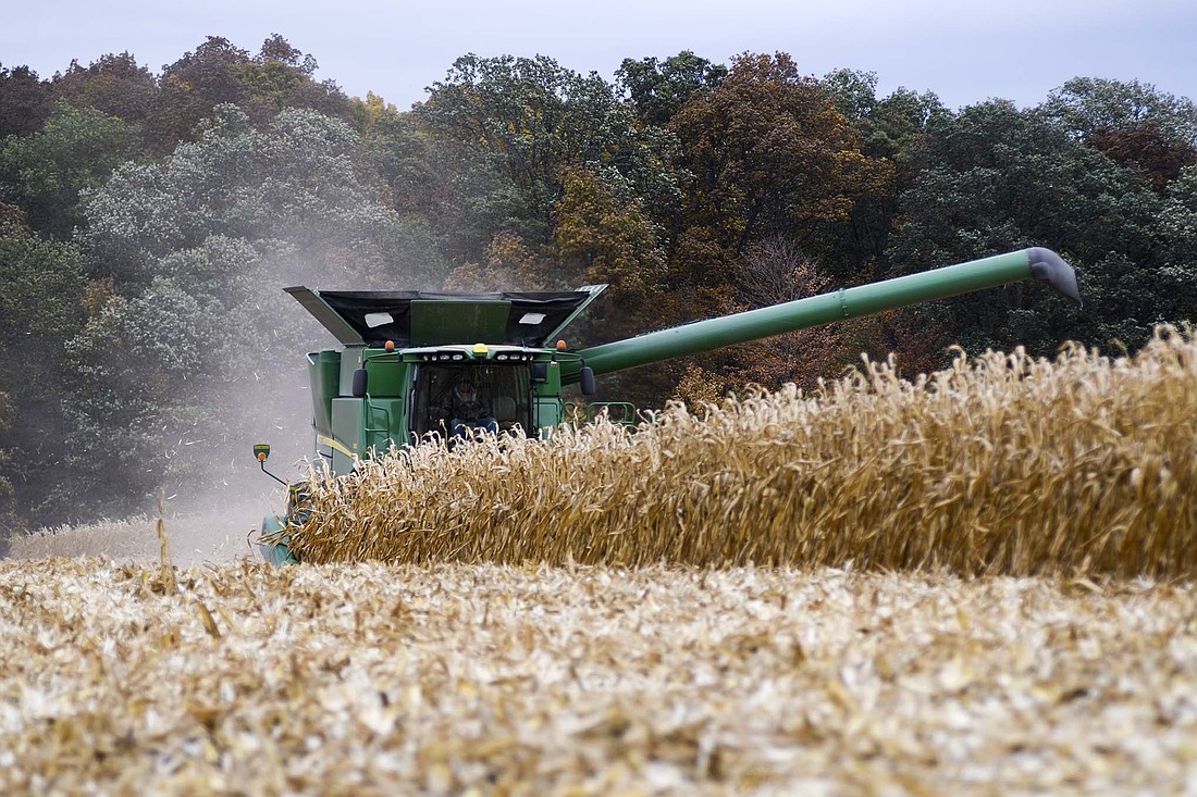 Staff from Miller Farms was working Wednesday morning to harvest corn from a field on the east side of county road 300 East between county roads 100 North and 200 North. The Commercial Review’s Harvest special section, which features a local column and a story about a new product from Fort Recovery’s J&M Manufacturing, ran in Wednesday’s newspaper and can also be viewed online at thecr.com. (The Commercial Review/Ray Cooney)